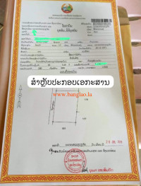 T00229